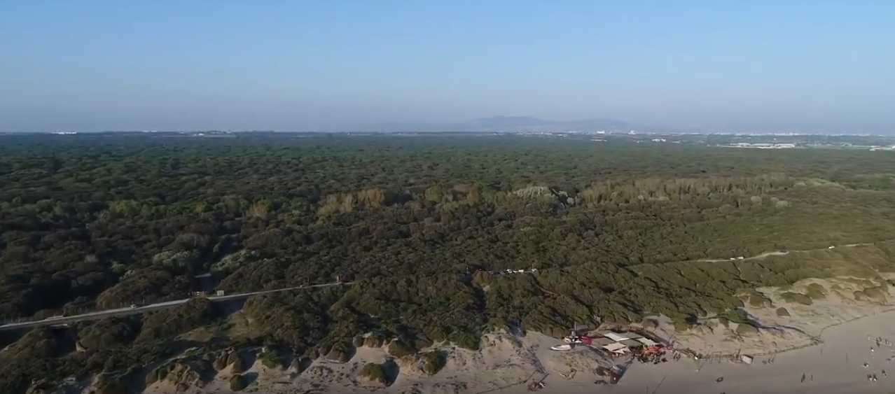 Le dune di Capocotta viste dal drone